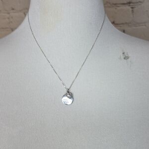 Chic Silver Disc Necklace
